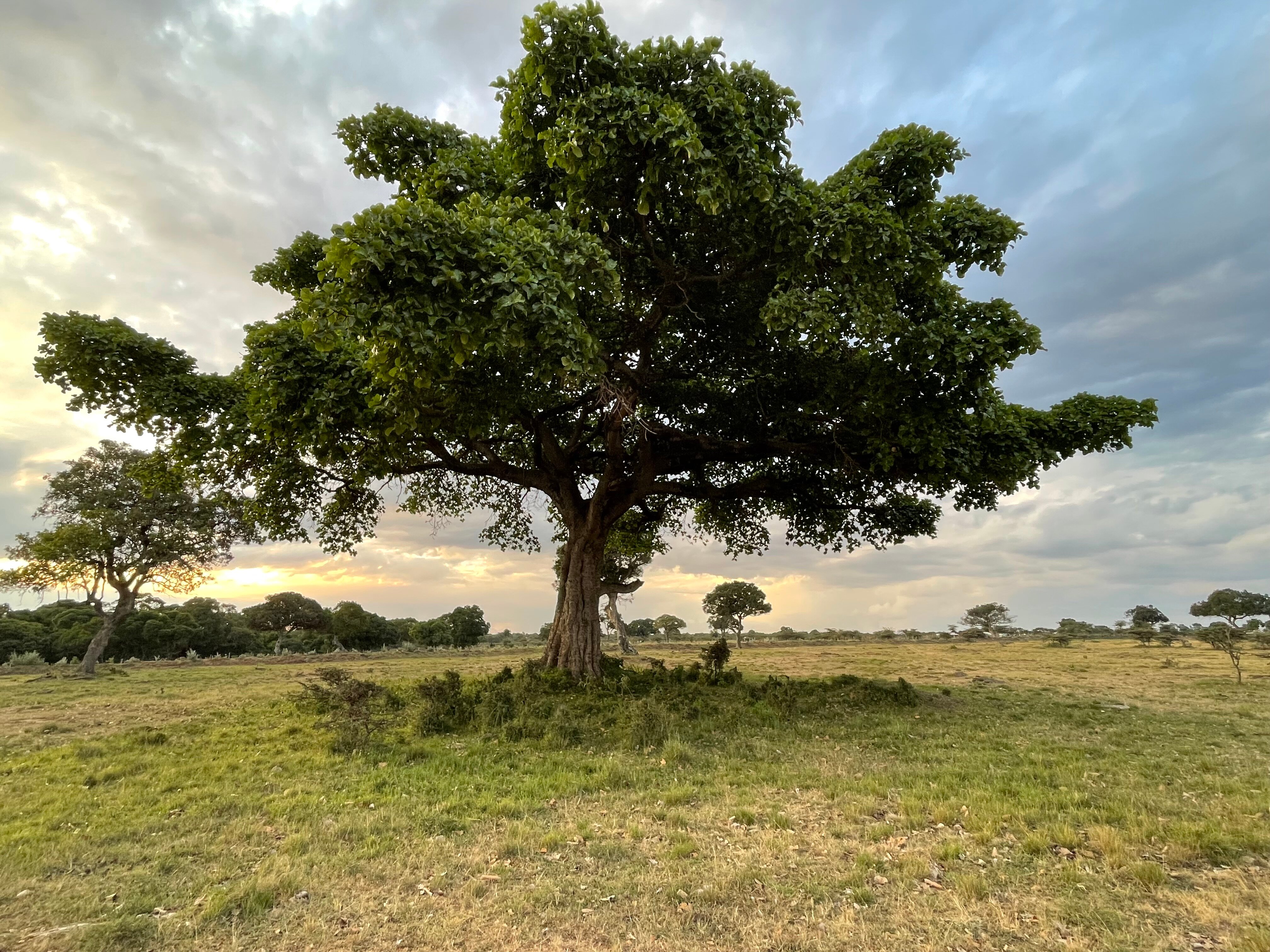 马拉西豪华帐篷旅馆-浴室