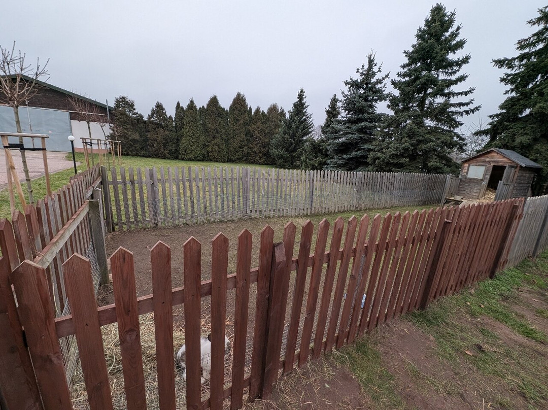 Mazovia Province酒店住宿-Hotel Sielanka nad Pilica