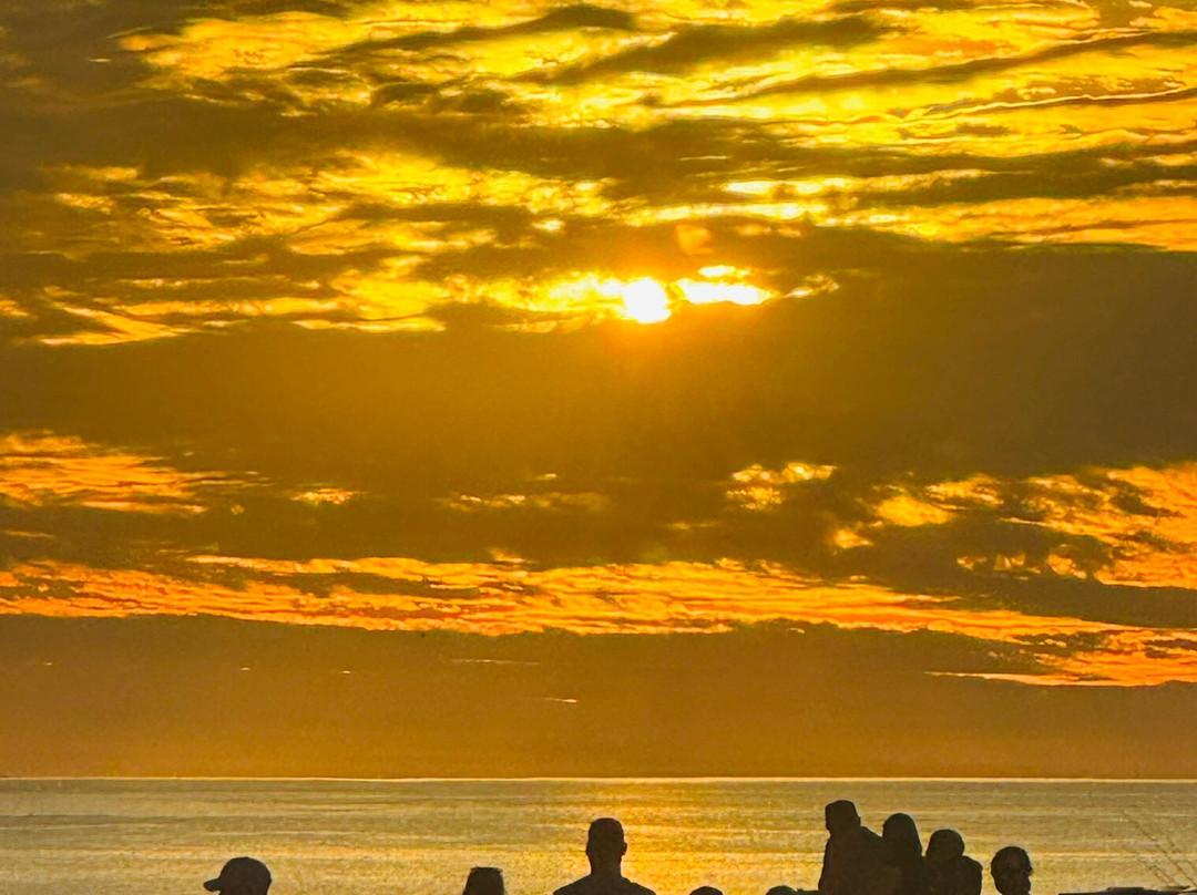Sharky’s On The Pier-威尼斯必去景点