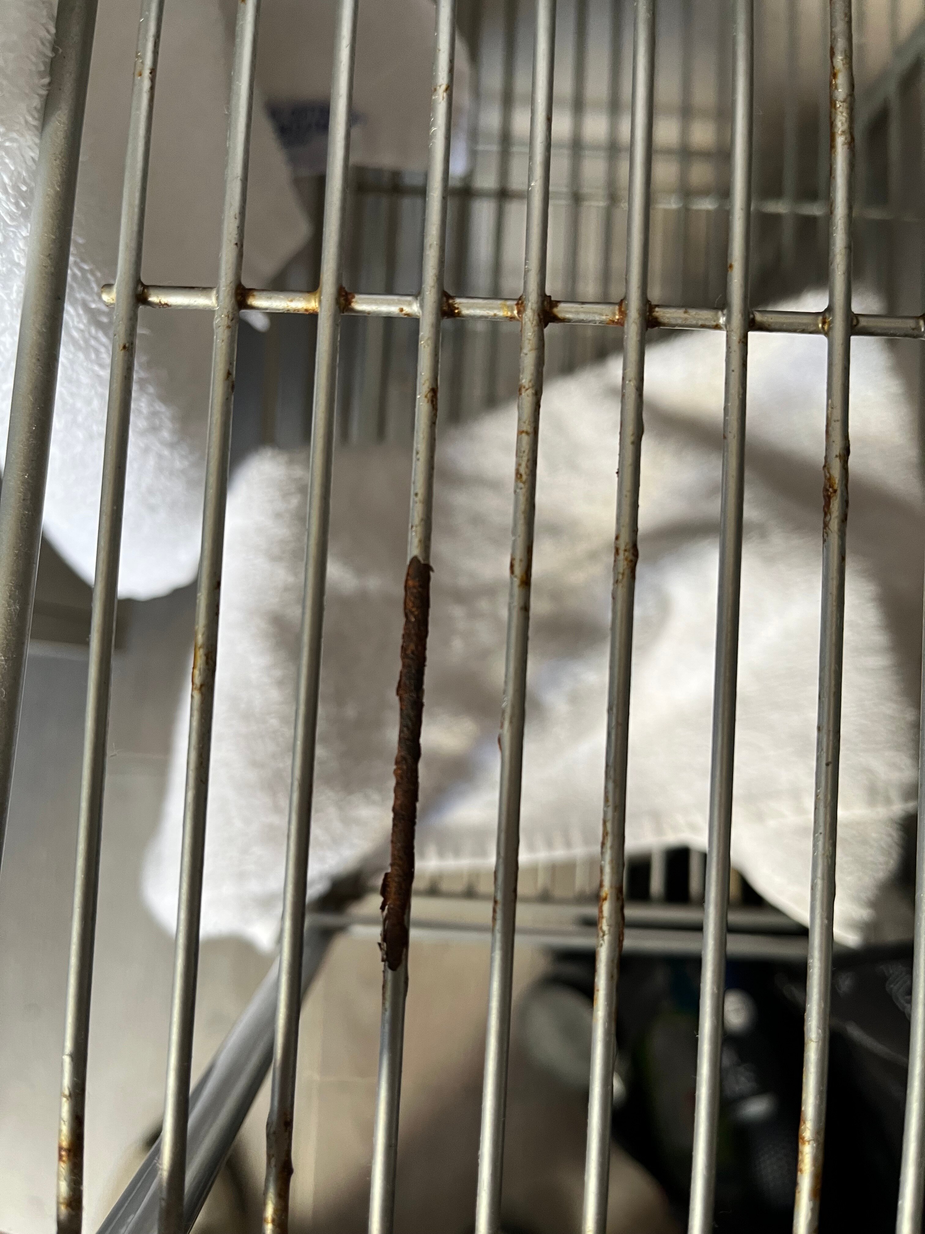 L'Ulivo Hotel-浴室