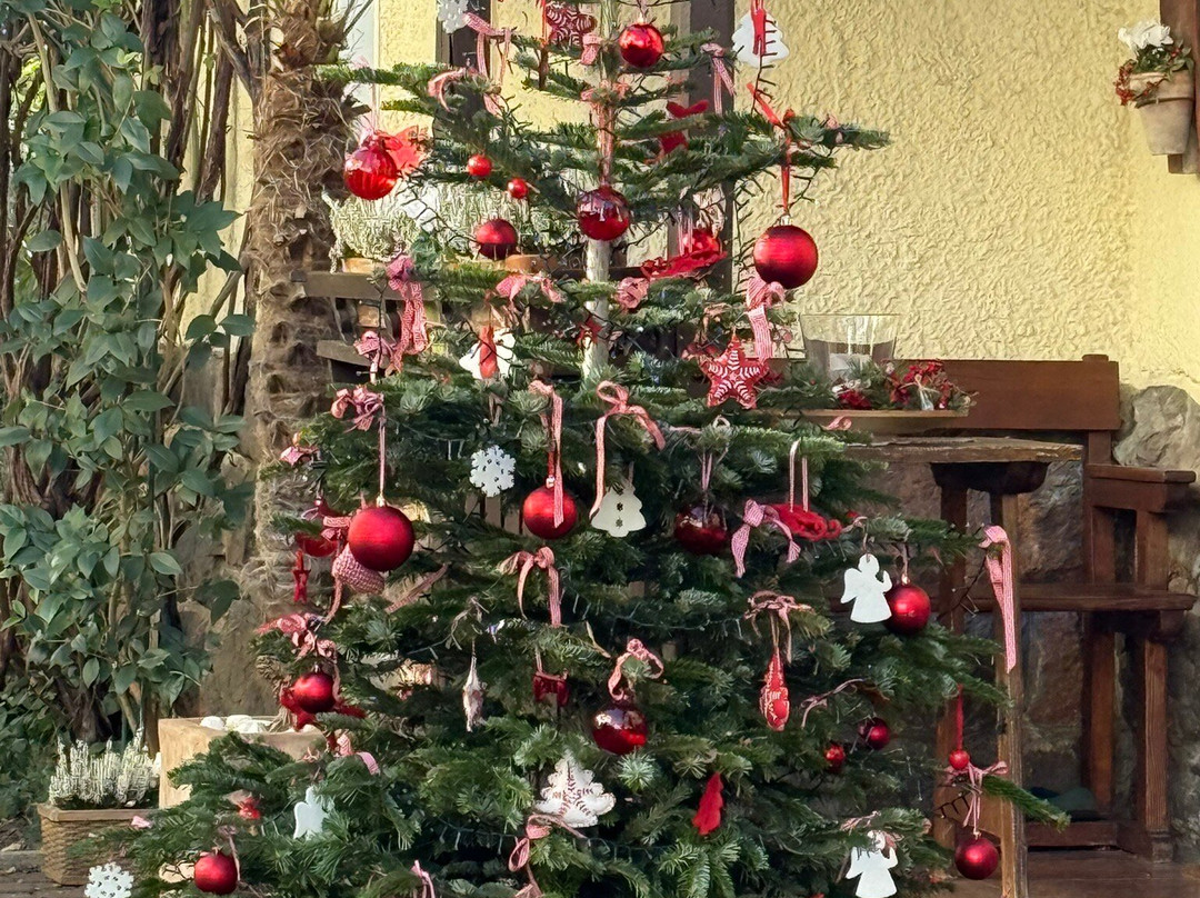 Scala Stiegl Hotel主图