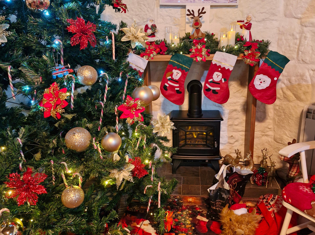 Doon Valley Railway-艾尔必去景点