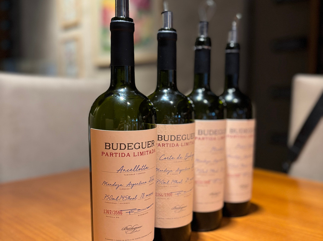 Bodega Budeguer-阿格雷洛必去景点