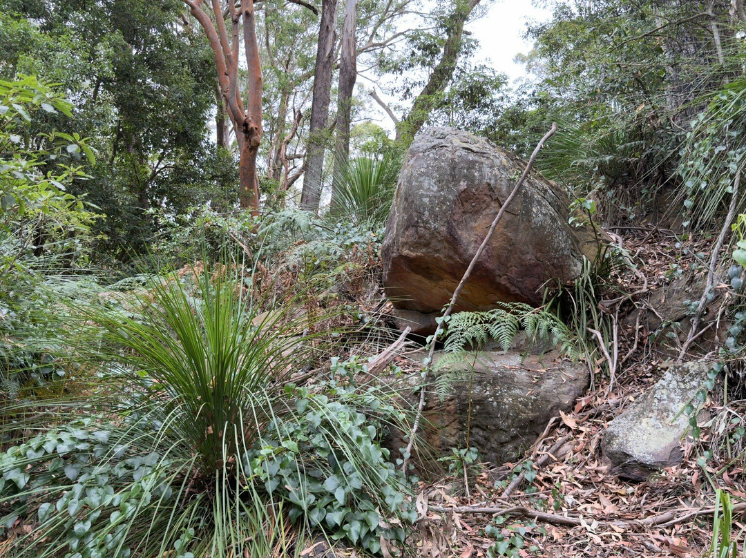 兰湾国家公园-Macquarie Park必去景点