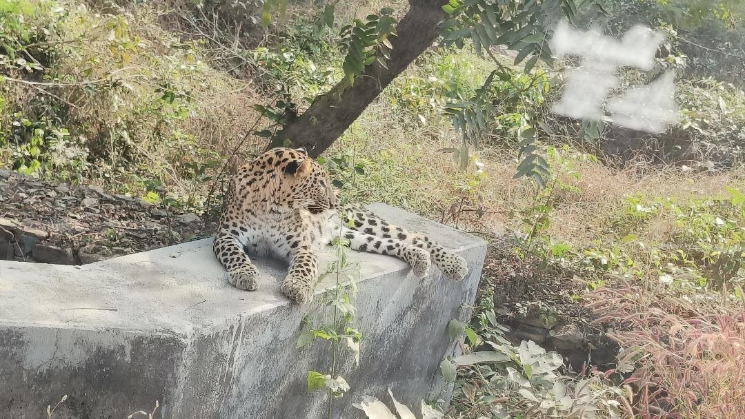 Rajgir Wildlife Sanctuary-Nalanda必去景点