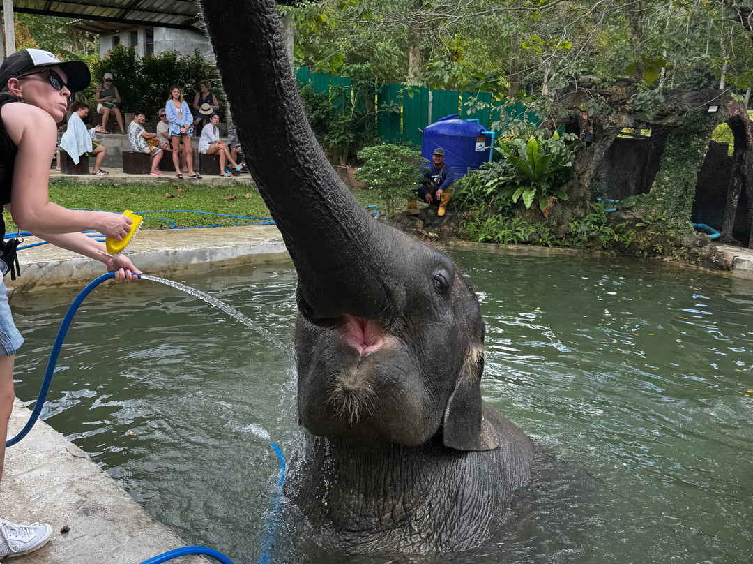 Lanta Island Elephant Lover-Khlong Hin必去景点