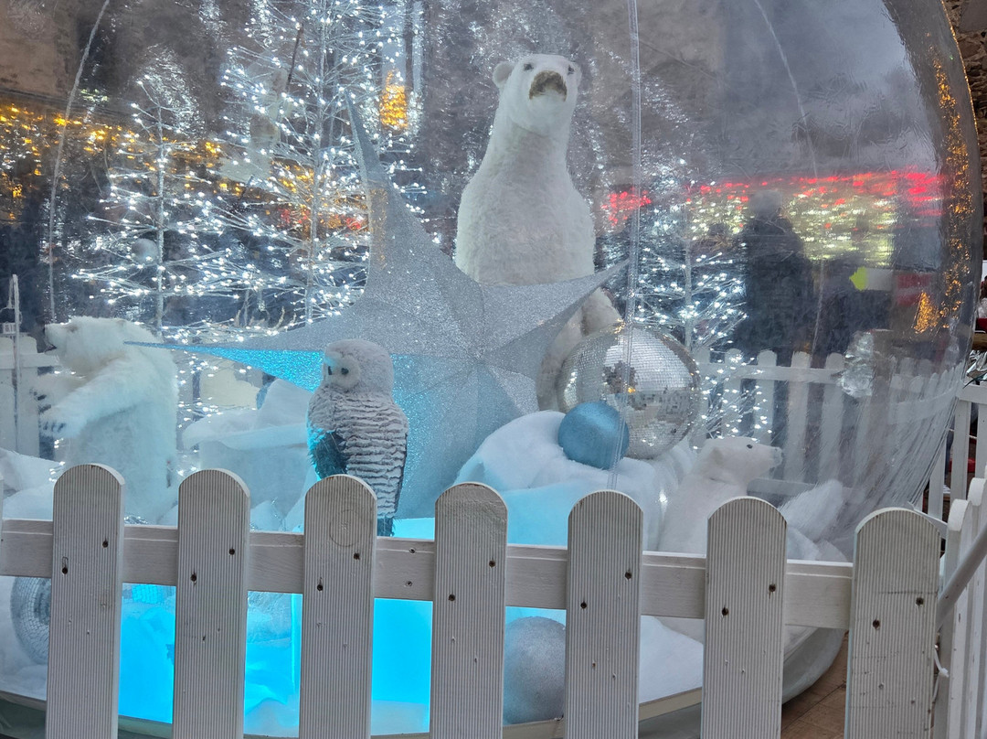 Château de Montrond les Bains-Montrond-les-Bains必去景点