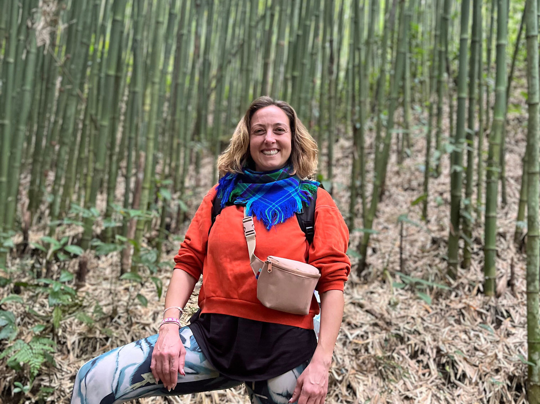 Mountain Light Travel-河内必去景点