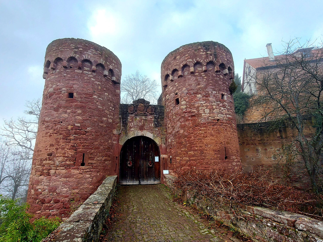Burg und Burgpark Gamburg-Werbach必去景点