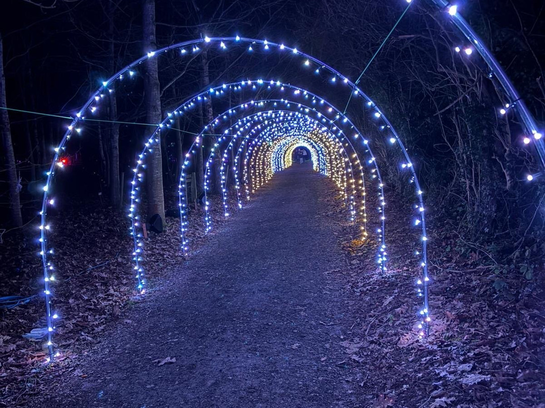 Heritage Wood-阿什伯恩必去景点