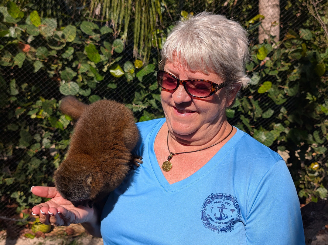 Sea It Clear Tours-North Sound必去景点