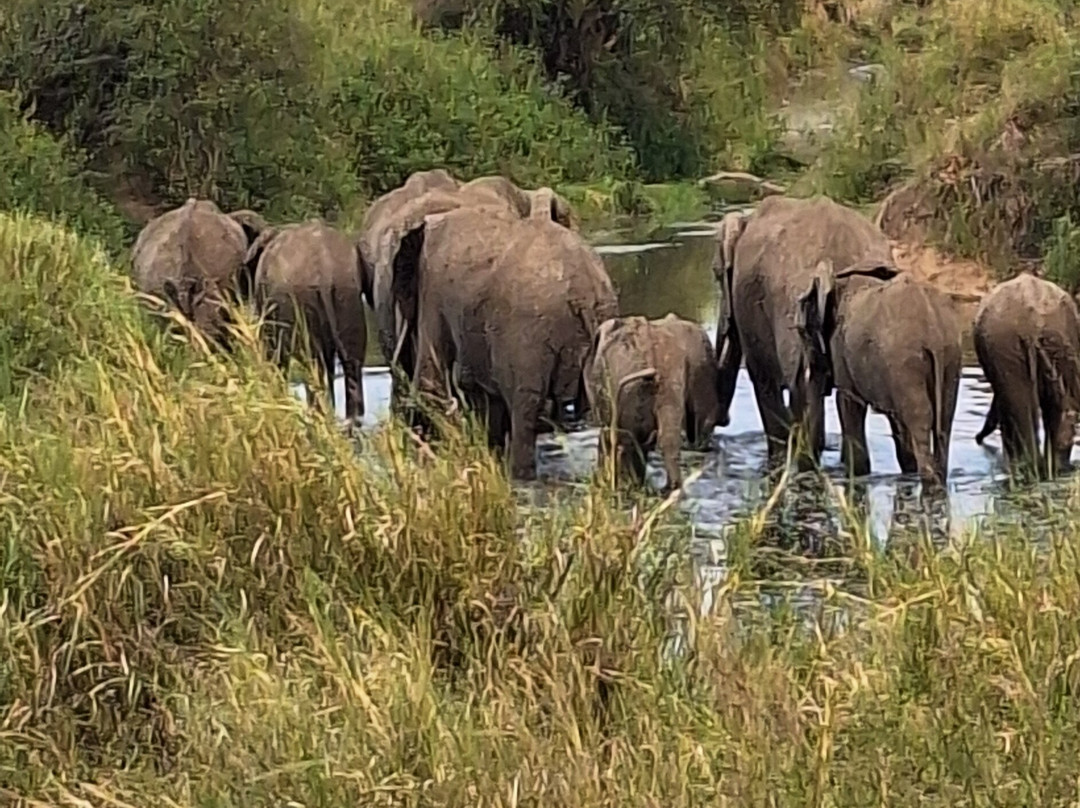 Tanzania Specialist-阿鲁沙必去景点