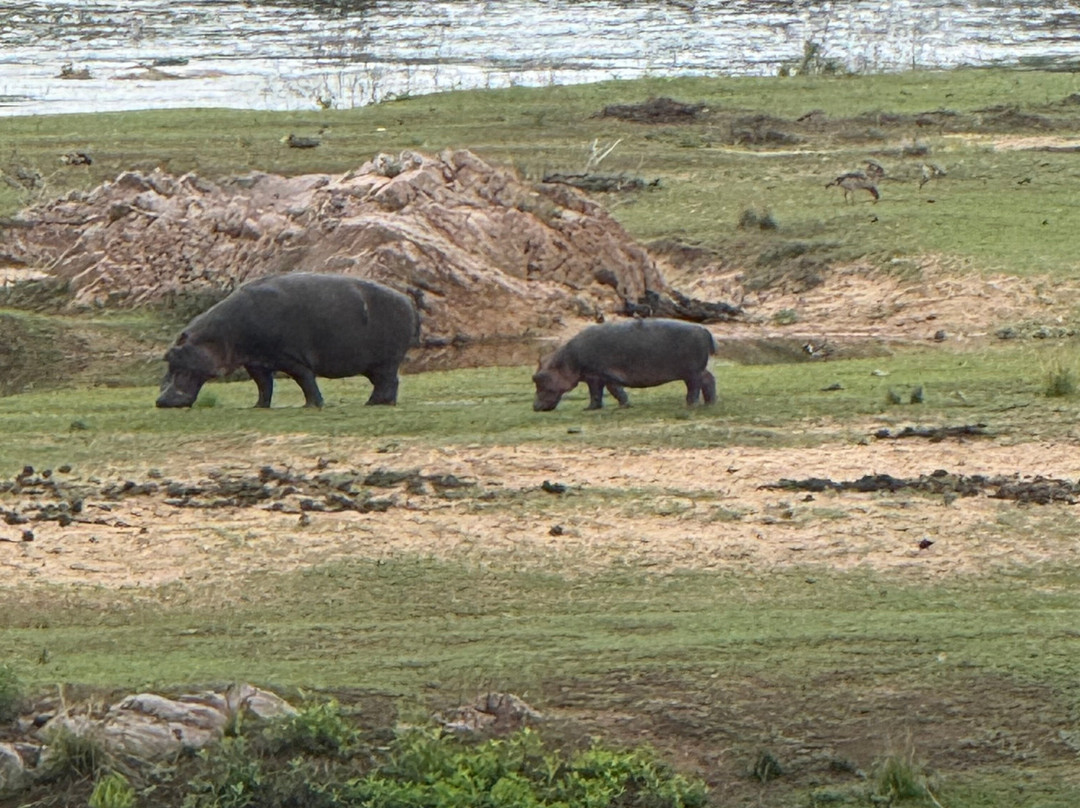 Famba Travel & Safaris-参宁必去景点