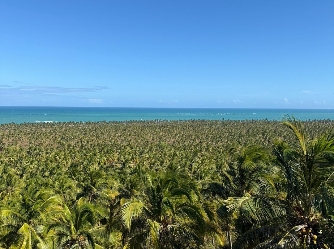 Mirante do Gunga-Roteiro必去景点