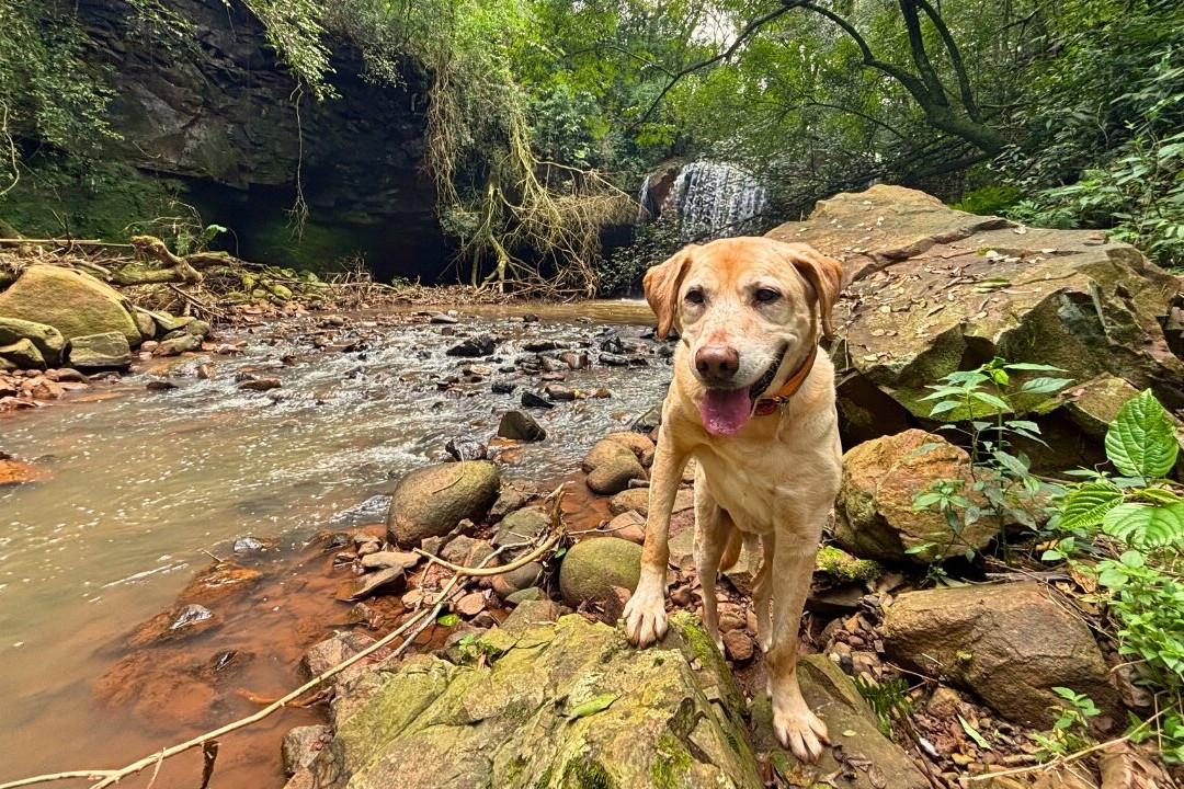 Cascata da Passarela (Dois Irmãos)-Dois Irmaos必去景点