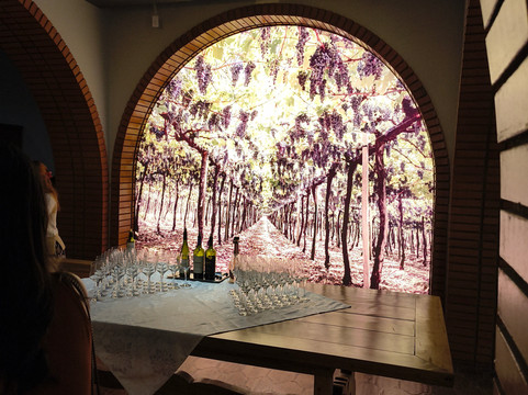 GNB Turismo-卡内拉必去景点