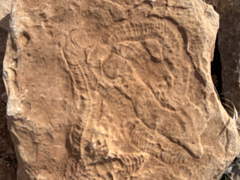 Sacred Edge Tours-佩吉必去景点