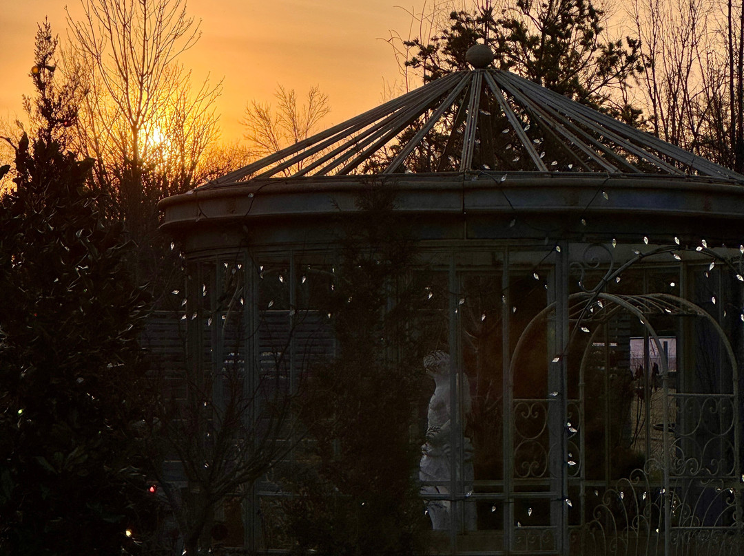 Black Shed-Stockton必去景点