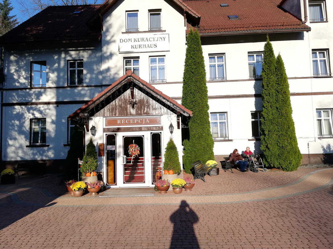 Hotel Pod Jeleniem主图