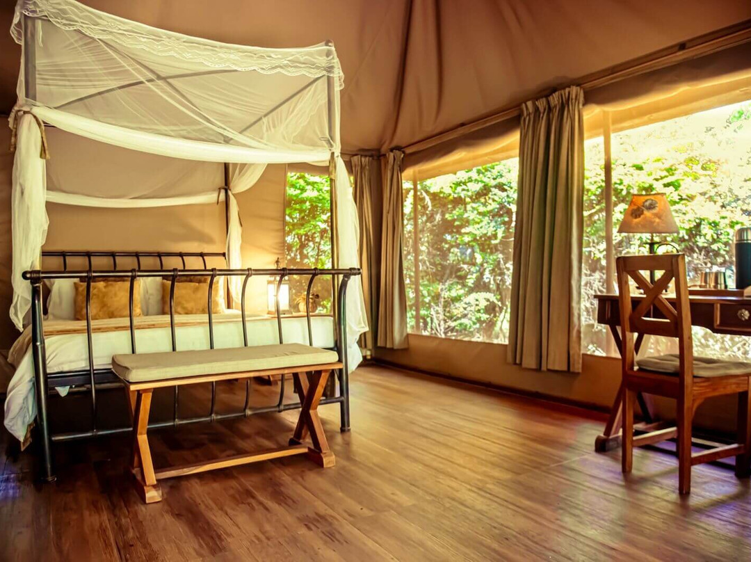 爱威塔野生动物园营地酒店主图