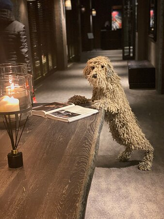 Dakota Manchester主图