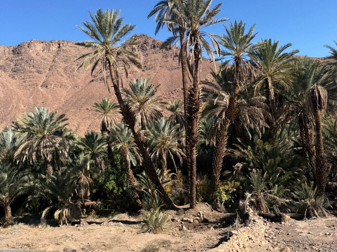 Sahara vibe-扎古拉必去景点