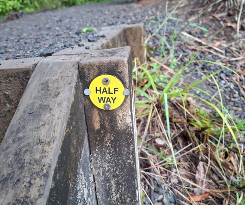 Hakarimata Walkway-Ngaruawahia必去景点