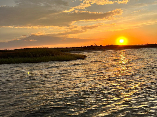 Paradise Dolphin Cruises-Wanchese必去景点