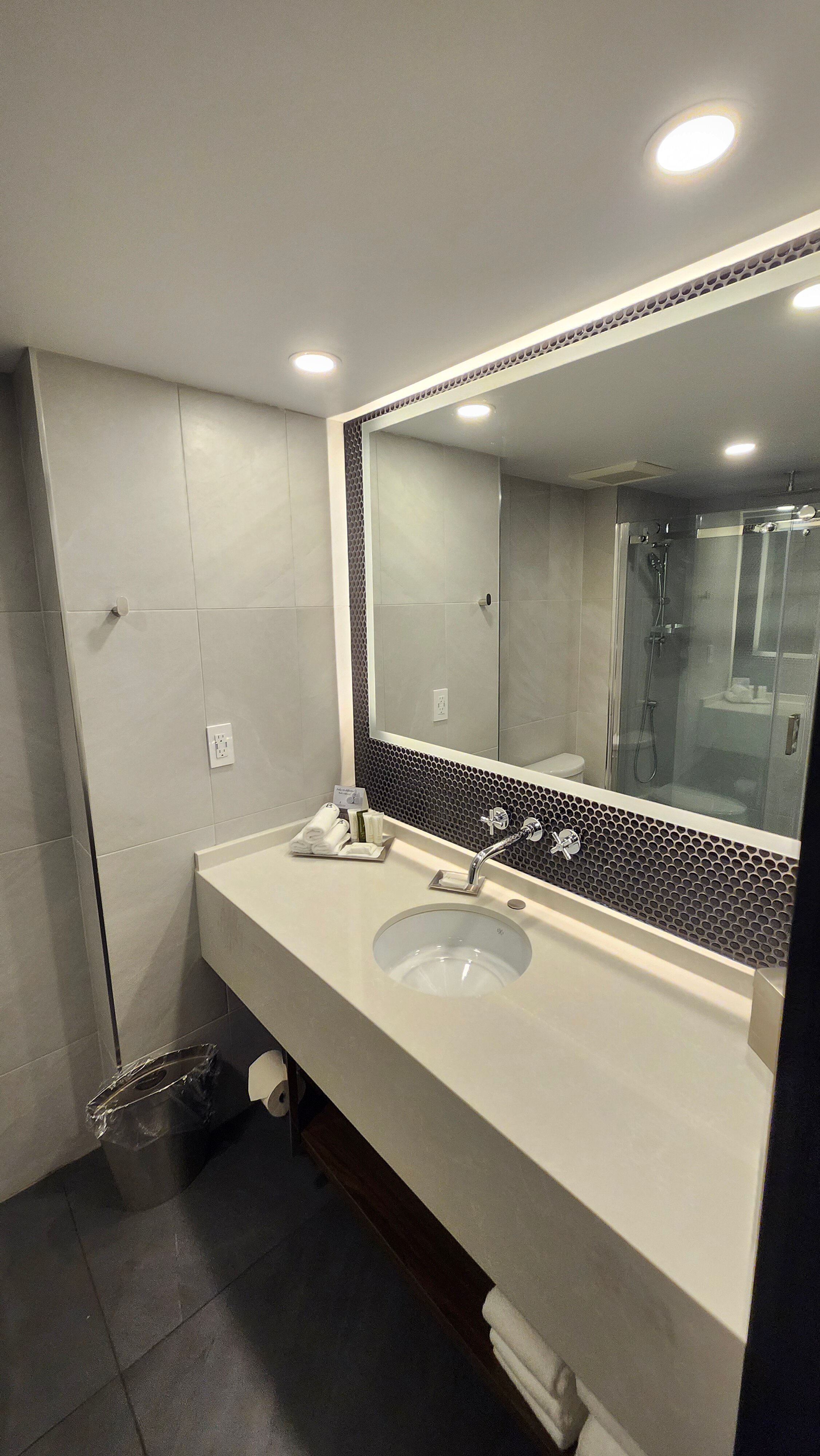 蒙特利尔文德酒店-浴室