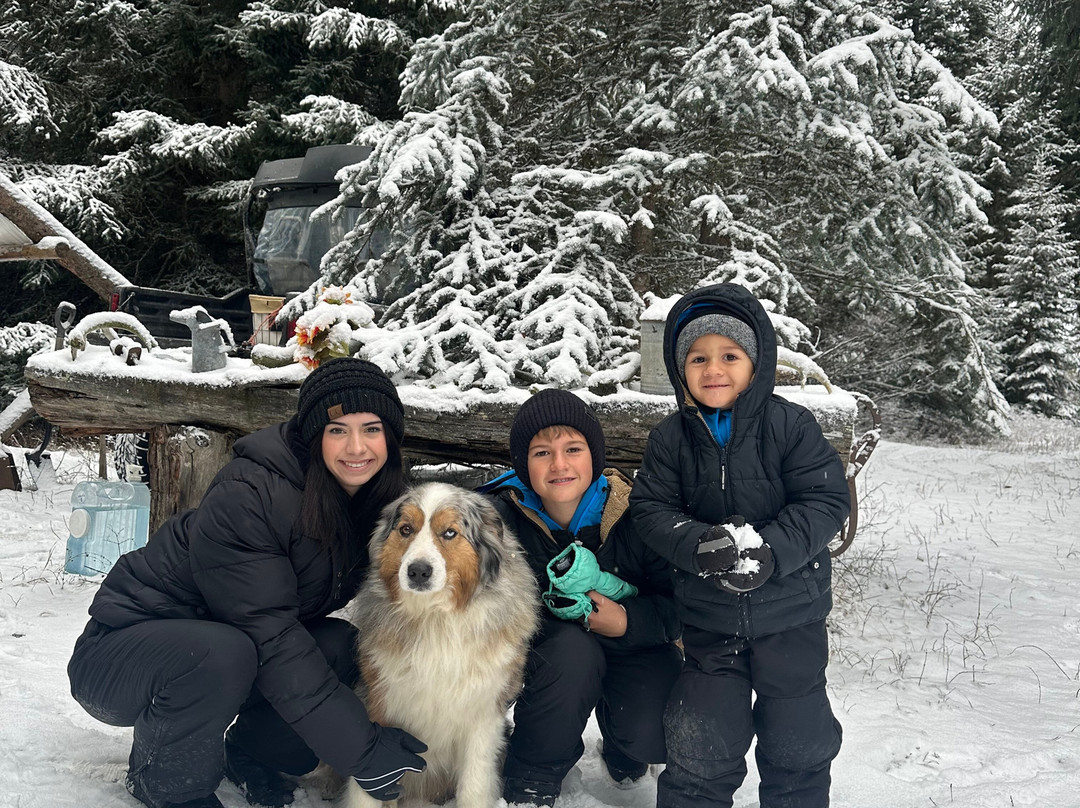 Cripple Creek Horse Ranch-Trego必去景点