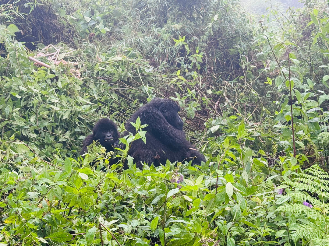 Empirical Tour and Travel Ltd-吉塞尼必去景点