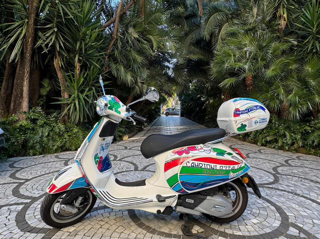 SP Rent Sorrento-索伦托必去景点