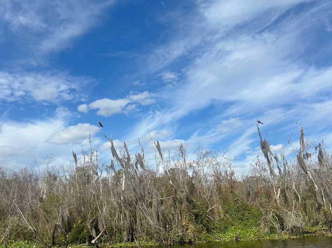 Ponce de Leon Springs State Park-Ponce de Leon必去景点