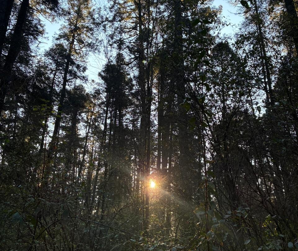 El Chico National Park-Pluma Hidalgo必去景点