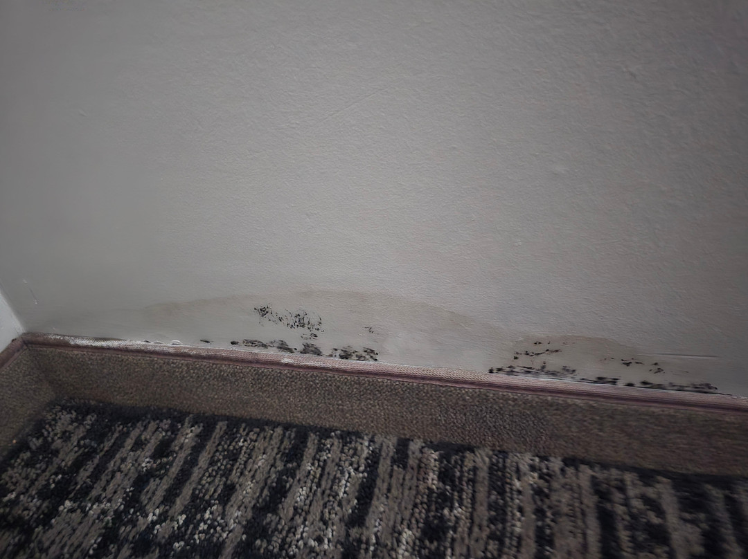 Hyatt Place Manati主图