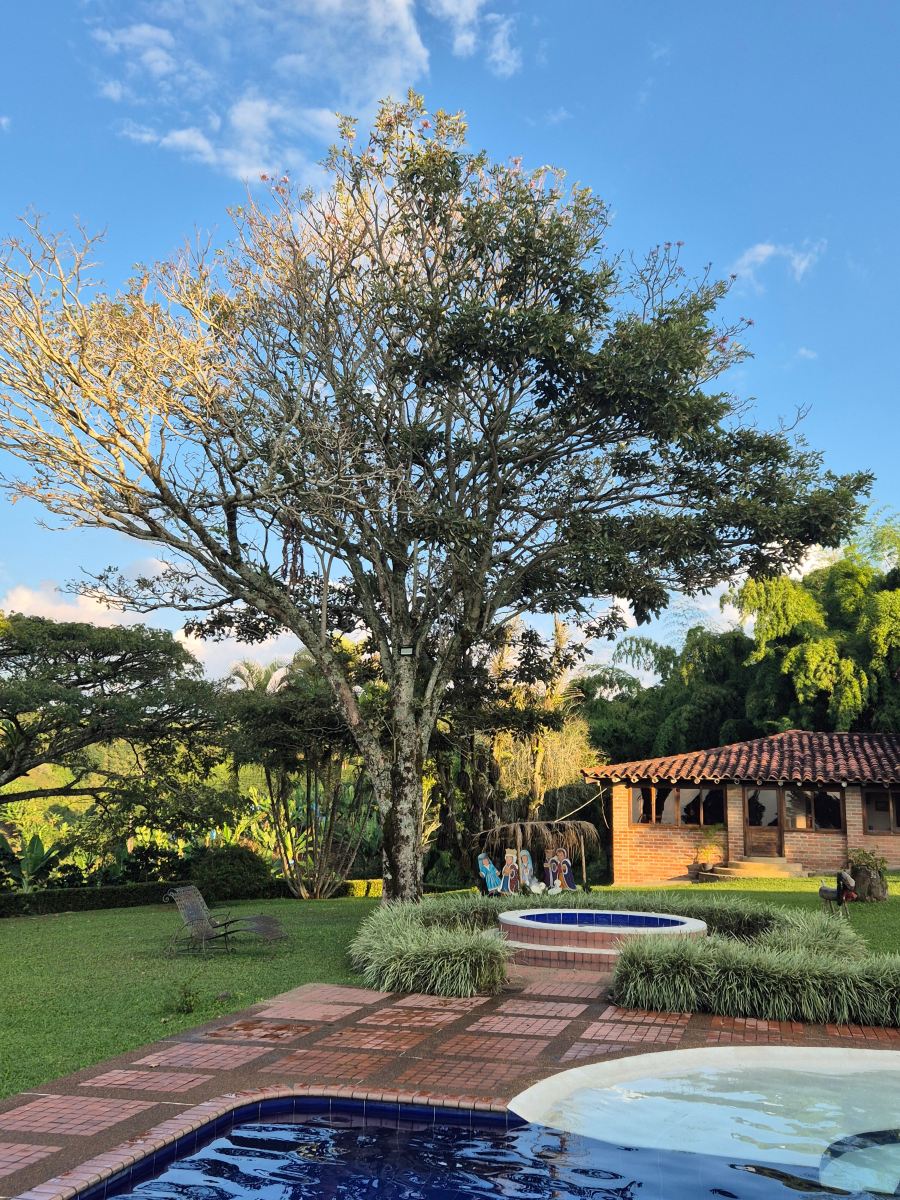 Hotel Bosques Del Saman Alcala-官方