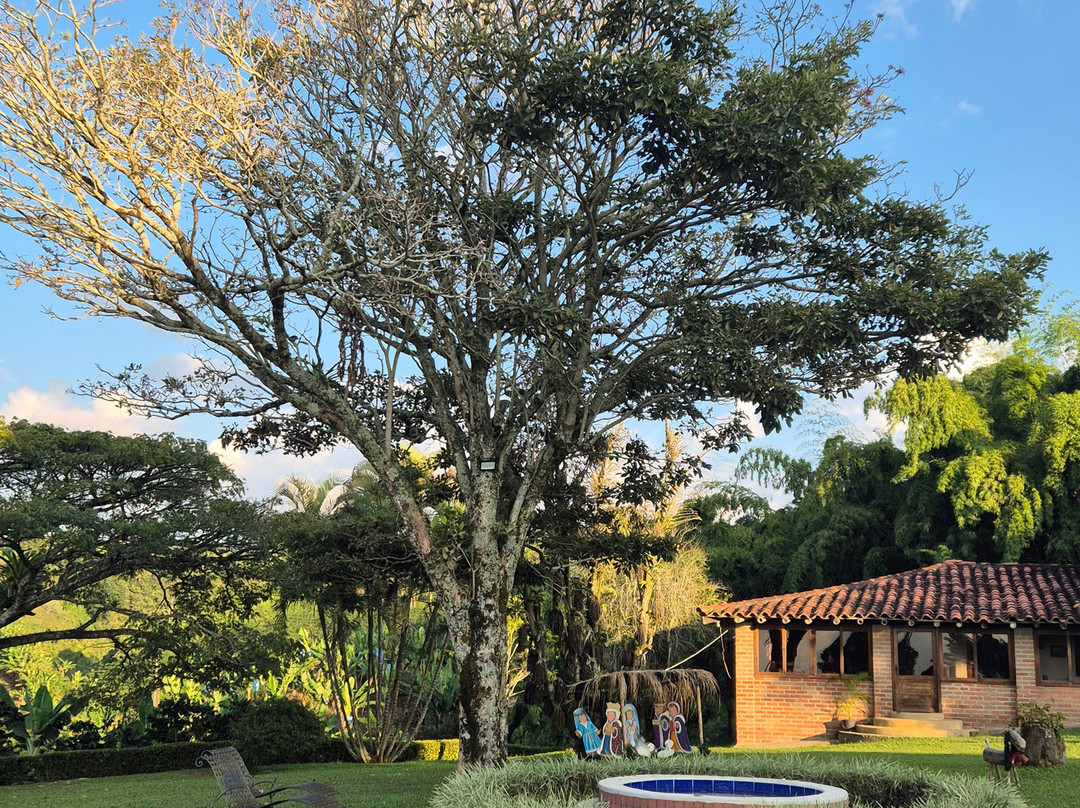 Hotel Bosques Del Samán - Alcalá主图