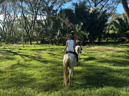 Horse Jungle-萨玛拉滩必去景点