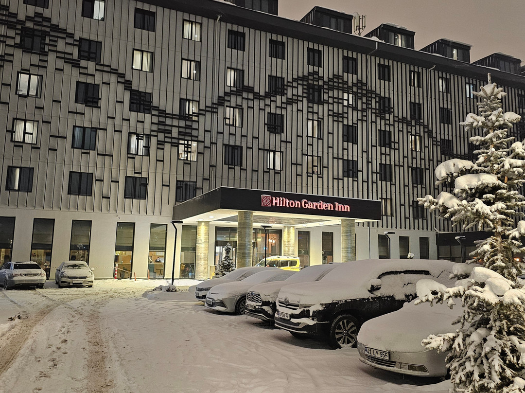 Hilton Garden Inn Erzurum主图