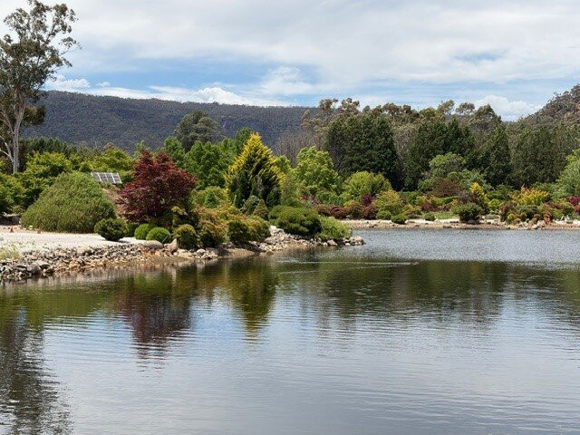 Gory'u Japanese Gardens