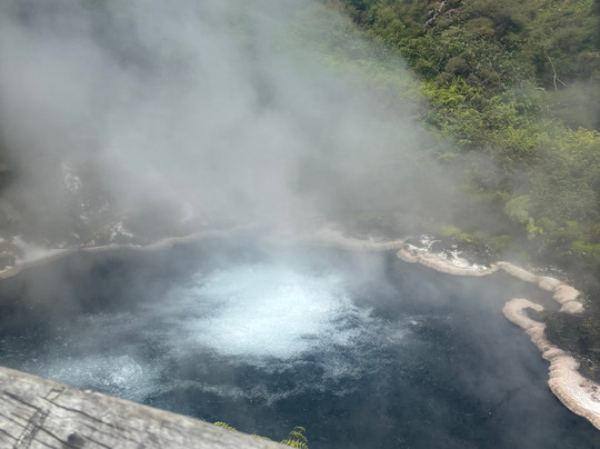 Aroha Luxury New Zealand Tours-Tokoroa必去景点