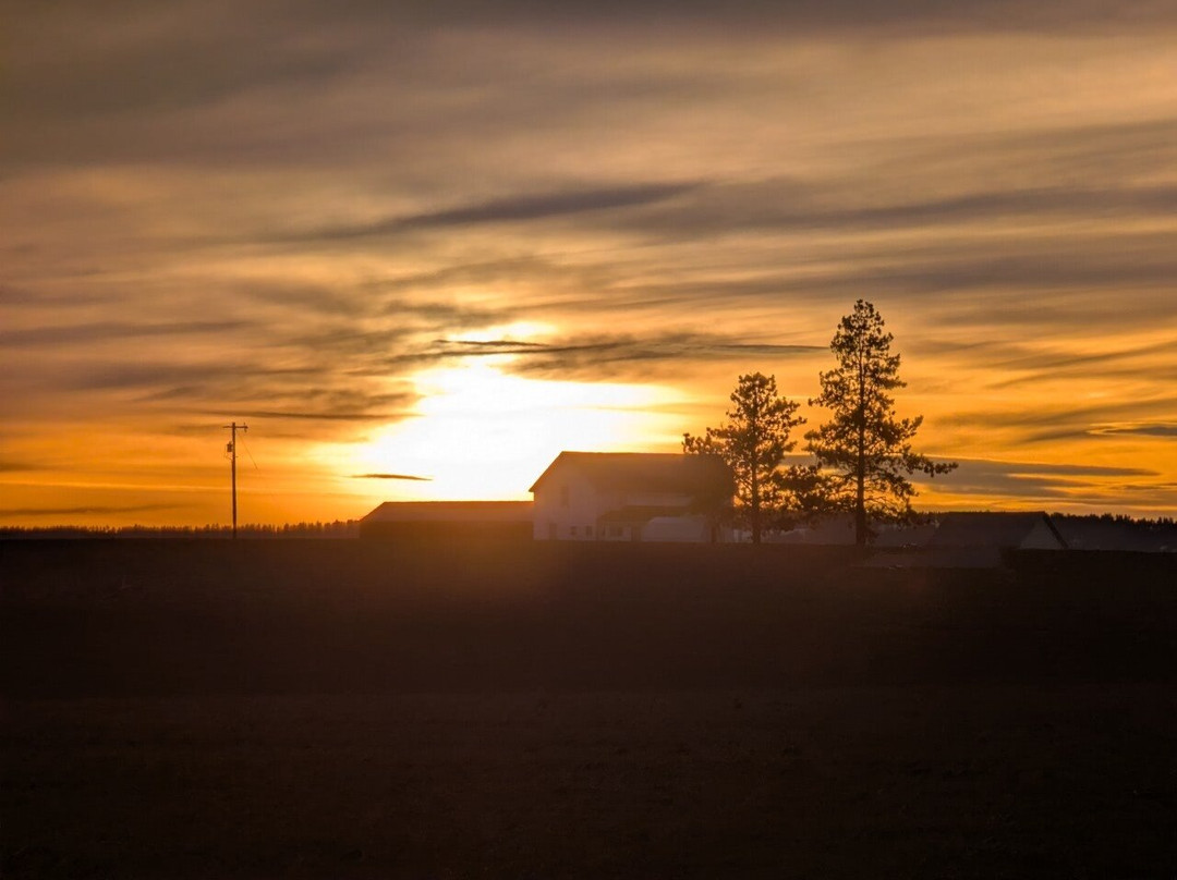 Monastery of St Gertrude-卡顿伍德必去景点