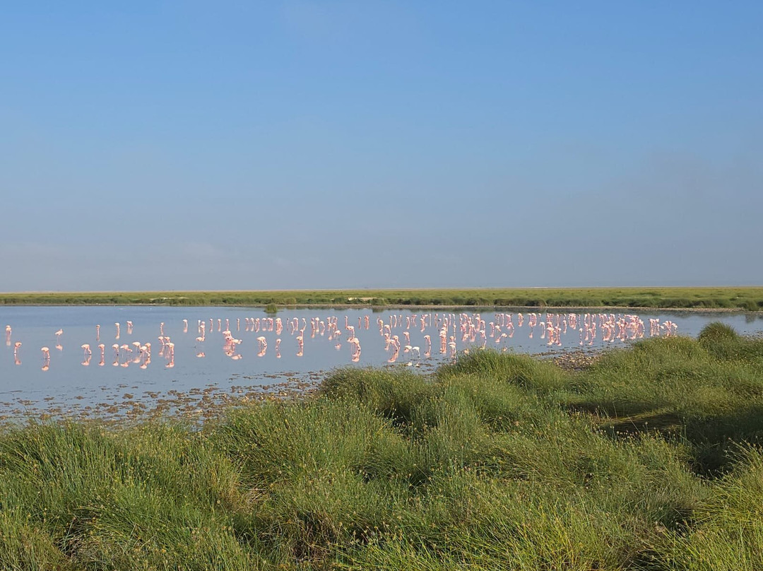 Max Discovery Kenya-瓦塔木必去景点