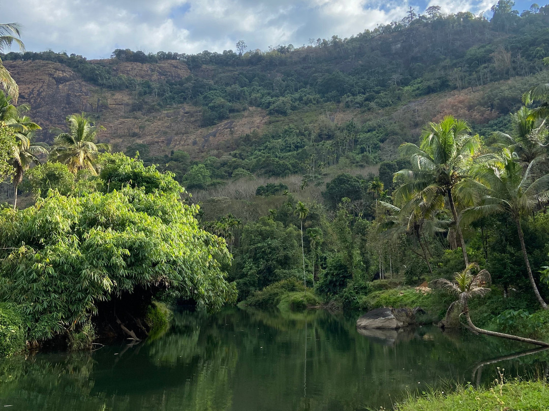 Munnar Info-慕那尔必去景点