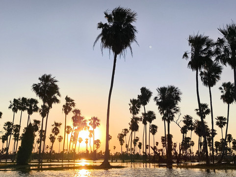 Bañado La Estrella-Las Lomitas必去景点