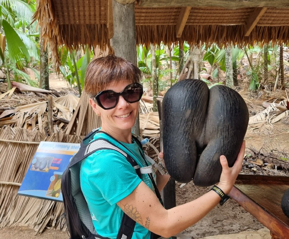 Dave's  Tour-普拉兰岛必去景点