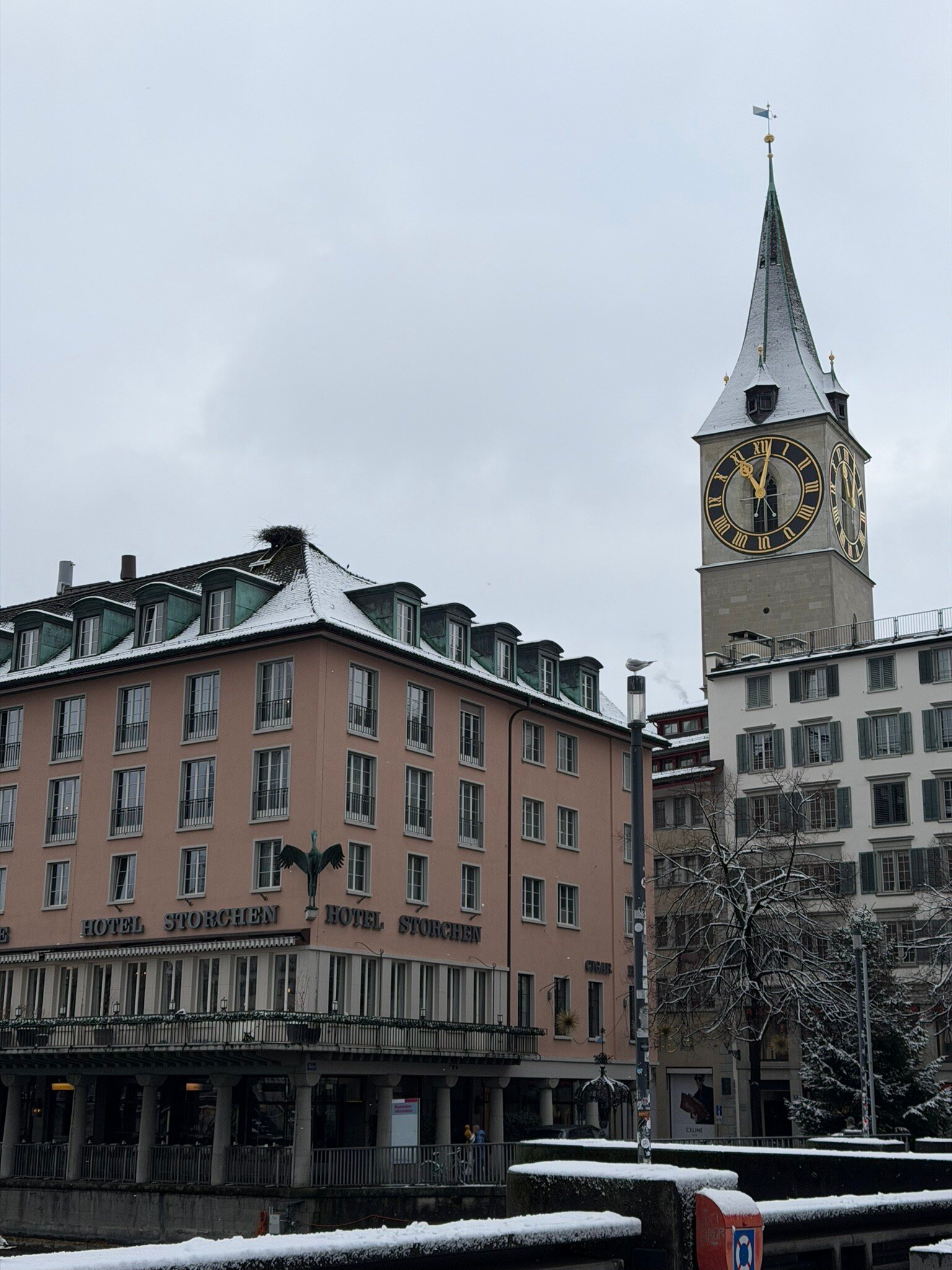 Hotel Storchen-官方