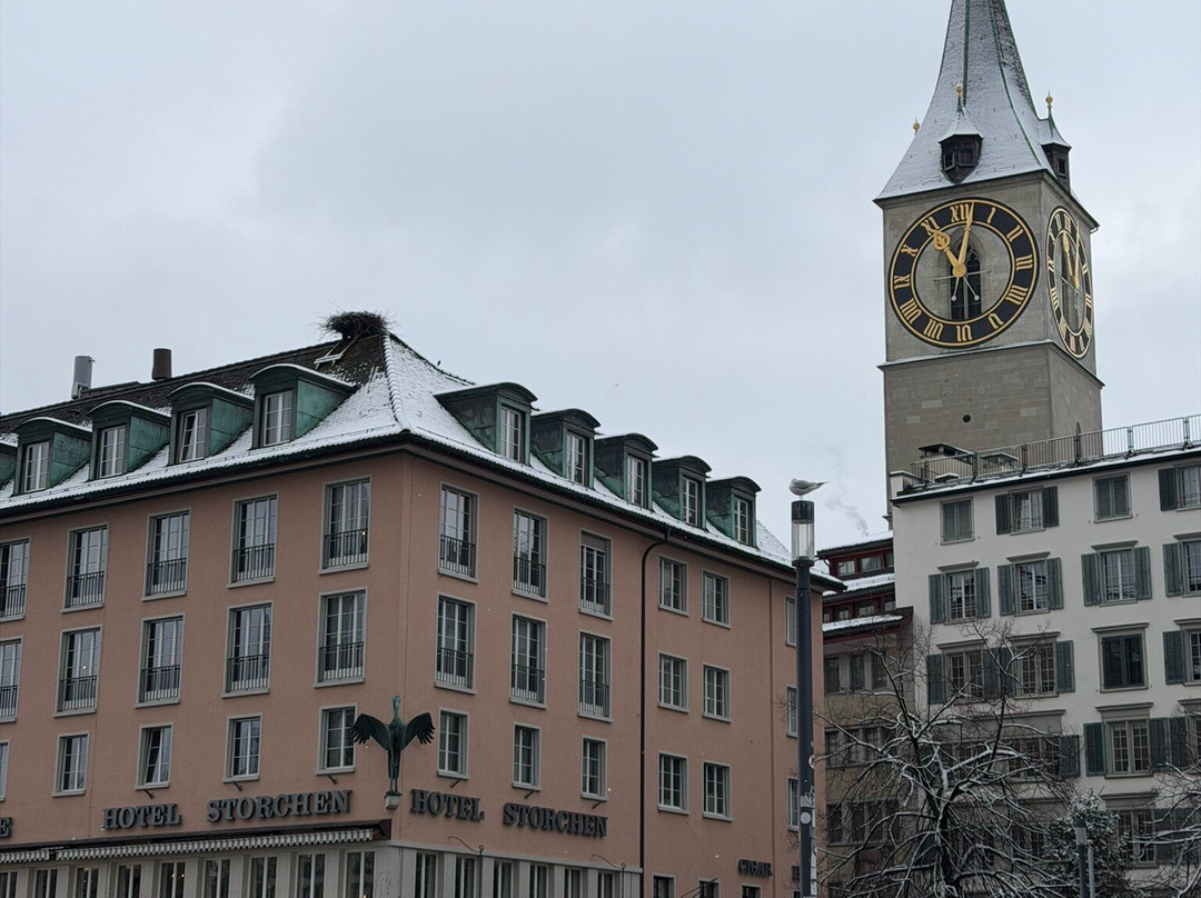 Hotel Storchen主图