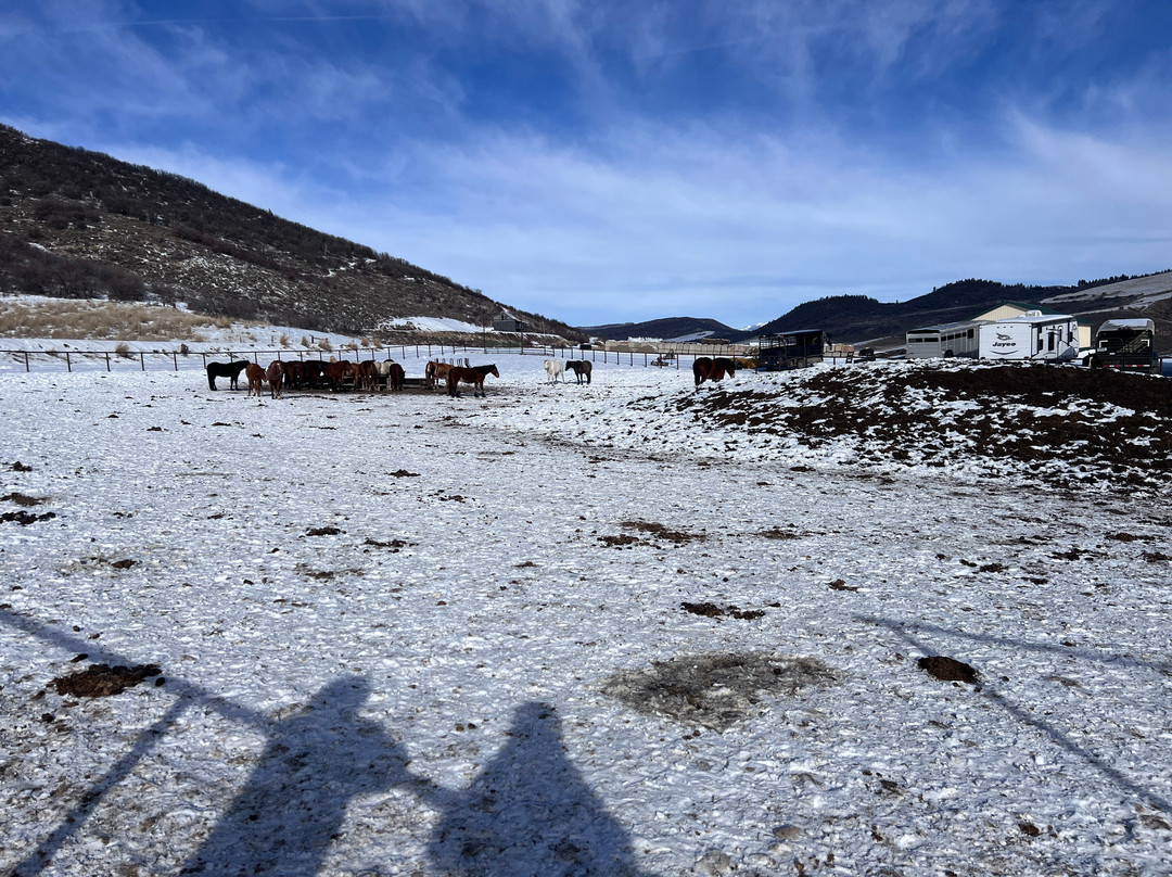 Saddleback Ranch-斯廷博特斯普林斯必去景点
