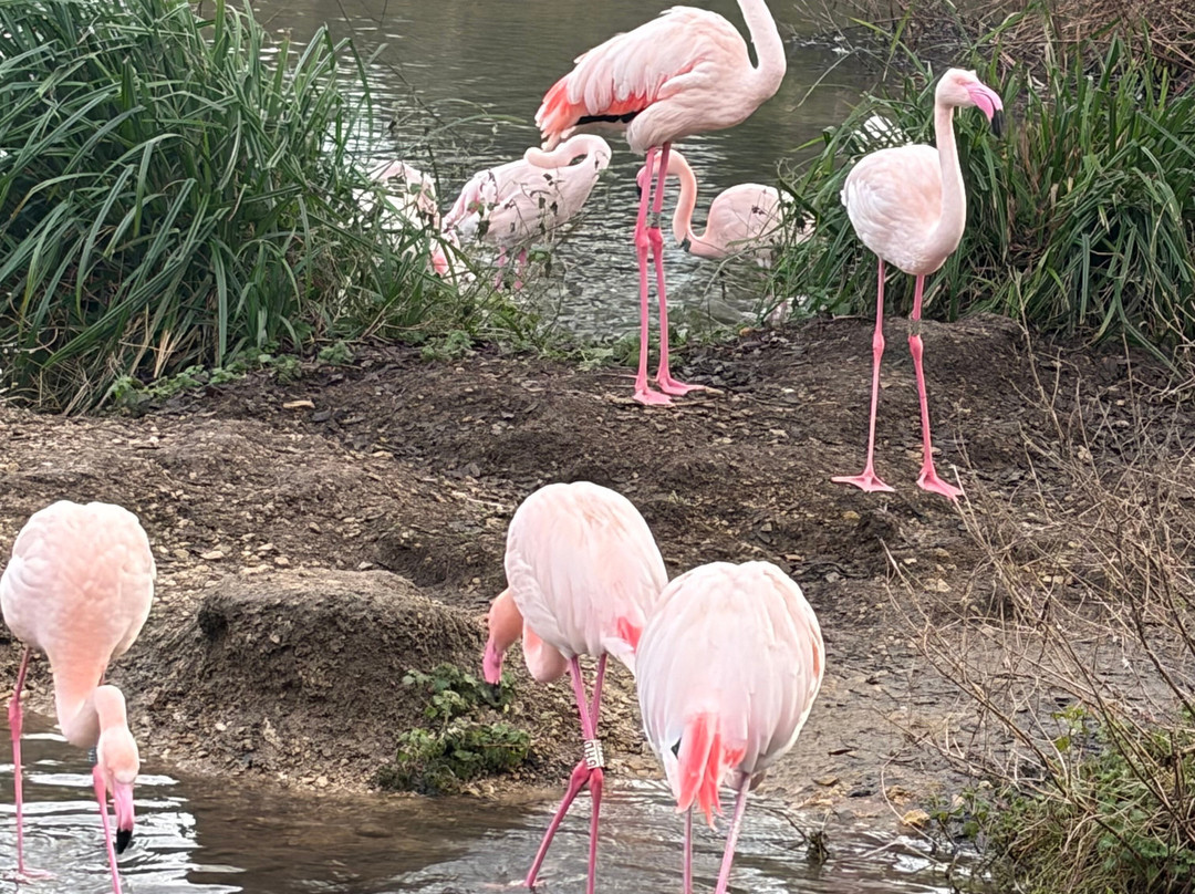 鸟园-水上伯顿必去景点